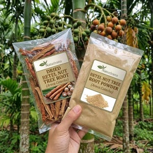 Dried Betel Nut Tree Root , Organic Areca Catechu, 100% Natural Fresh Herbs