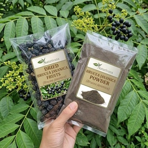 Könnte beinhalten: Zwei durchsichtige Kunststoffbeutel mit Naturivana-Produkten. Ein Beutel enthält dunkle, runde getrocknete Brucea javanica-Früchte, der andere feines, dunkelbraunes Brucea javanica-Pulver. Jeder Beutel ist mit einem Etikett und Text versehen.