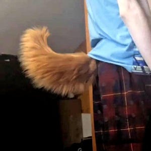 Custom Hypermotion 12inch tail - Choose your own colors!