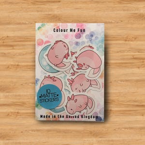 May include: A sheet of 10 matte stickers featuring pink axolotl illustrations. The stickers are on a white background with a rainbow pattern and the text "Colour Me Fun". The sheet also includes the text "10 Matte Stickers" and "Made in the United Kingdom".
