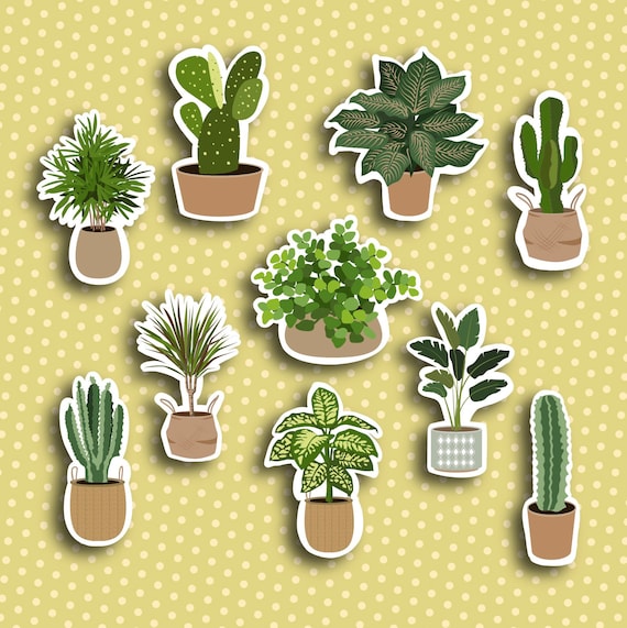 Boho Plant Stickers – Houseplant & Cactus Decals