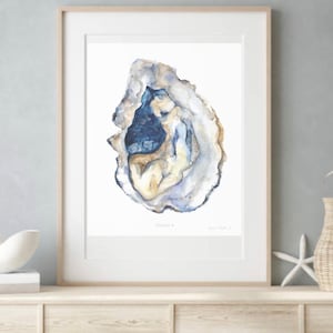 Oyster Art Print Oyster 4 Coastal Art Oyster Watercolor Shell Art Oyster Painting Shell Print Oyster Shell Print Melissa Dayton gift  chef