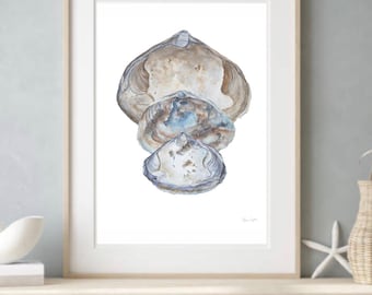 Clam Shell Watercolor Art Print: Coastal Kitchen Wall Decor