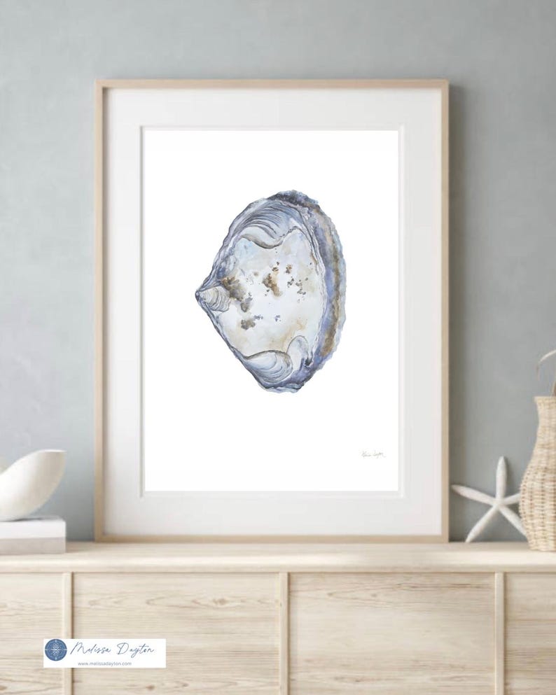 Watercolored Clam Shell Watercolor Clam Shell Art Print, Coastal Kitchen Decor - Etsy