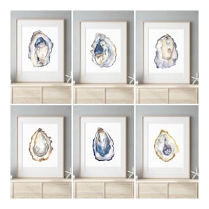 May include: Six framed watercolour paintings of oyster shells. Each painting features a different colour scheme and detail, with shades of blue, gold, and purple.