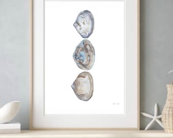 Clam Shell Watercolor Art Print, Coastal Kitchen Decor