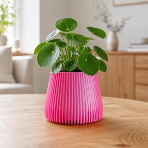 Op de afbeelding: Een felroze, verticaal geribbelde plantenpot met een Pilea peperomioides kamerplant met talloze ronde, donkergroene bladeren. De pot heeft een brede, platte basis en loopt iets taps toe naar de bovenkant, voorzien van een consistente plooitextuur.