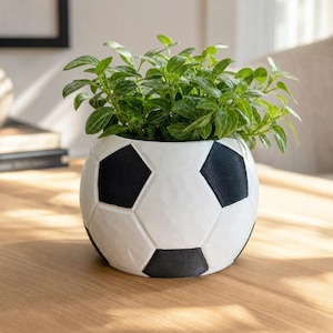 Op de afbeelding: Een ronde plantenpot in de vorm van een voetbal met een wit en zwart geometrisch patroon. Het oppervlak heeft een getextureerd, uitgesneden uiterlijk. Een levendige groene plant met kleine, puntige bladeren staat in de bolvormige pot.