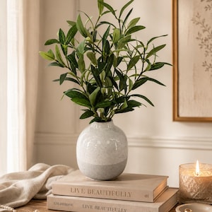May include: A round, two-toned ceramic vase with a speckled white top and a solid light gray base, containing a leafy green artificial olive plant. The vase rests on two stacked books with the text "LIVE BEAUTIFULLY" printed on their spines.