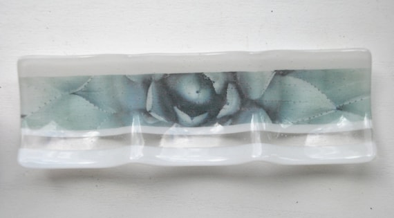 Succulent Glass Dish (3-part sectional)