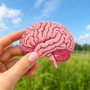 May include: An embroidered patch shaped like a human brain, featuring detailed pink and reddish-pink thread work that mimics the anatomical folds and structures of the cerebral cortex, cerebellum, and brainstem in a realistic, textured design.