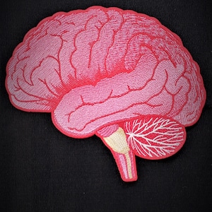Peut inclure: Un écusson brodé représentant un cerveau humain dans des tons de rose et de rouge. Le motif présente des coutures complexes pour représenter les plis du cortex cérébral, avec un tronc cérébral beige et un cervelet blanc à la base.