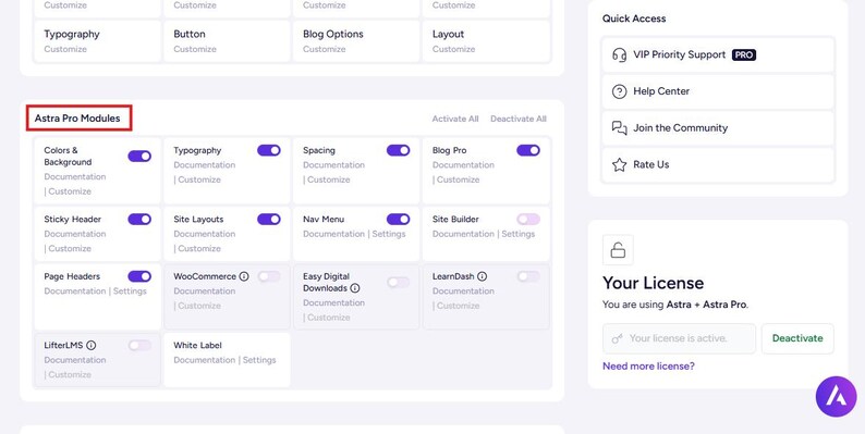 Puede incluir: Una interfaz de panel digital que muestra los m&oacute;dulos Astra Pro con varios interruptores de palanca para funciones como Colors & Background, Typography, Spacing y Blog Pro. Una barra lateral muestra enlaces de acceso r&aacute;pido y licencia.