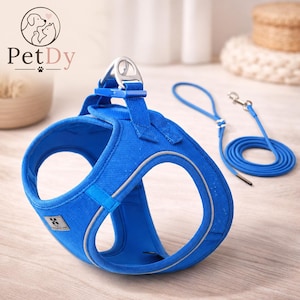 Puede incluir: Un arnés para mascotas de color azul brillante con un anillo en D de metal plateado, correas de nailon ajustables y ribetes reflectantes en los bordes. Una correa azul a juego con un gancho giratorio de metal plateado se sitúa al lado.