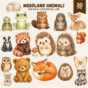 Pode incluir: Uma coleção digital de 30 ilustrações de animais da floresta incluindo coelho, sapo, tartaruga, castor, toupeira, veado, texugo, panda-vermelho, ouriço, esquilo, coruja, urso, raposa, borboleta e guaxinim, com o texto WOODLAND ANIMALS 30 png 300 DPI.