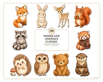 Cute Woodland Animals Clipart PNG Bundle, 30 Forest Animal Transparent PNG Files, Nursery Sticker Sublimation Commercial Use