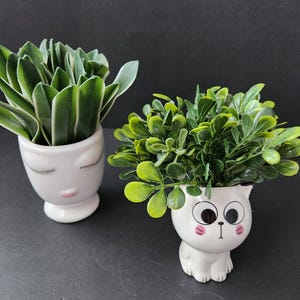 Op de afbeelding: Twee witte keramische plantenpotten met groene planten. Eén pot is in de vorm van een gezicht met gesloten ogen en een roze mond. De andere is een kat met grote ogen en roze wangen.