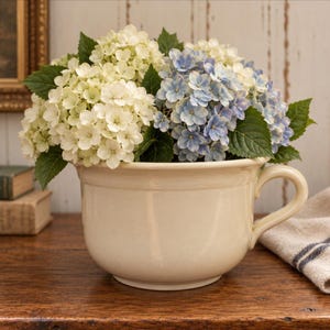 Könnte beinhalten: Eine cremefarbene Keramikschale mit einem seitlichen Griff, gefüllt mit einem üppigen Arrangement aus weißen und hellblauen Hortensienblüten mit dunkelgrünen Blättern. Das Gefäß hat einen glatten, abgerundeten Körper und einen breiten Rand.