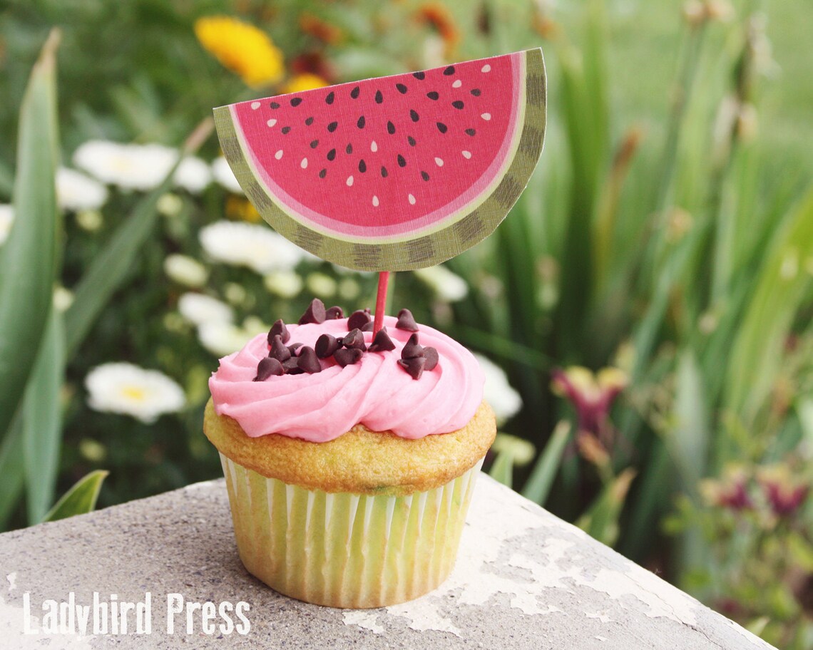Printable Summer Cupcake Toppers Watermelon Family Reunion - Etsy