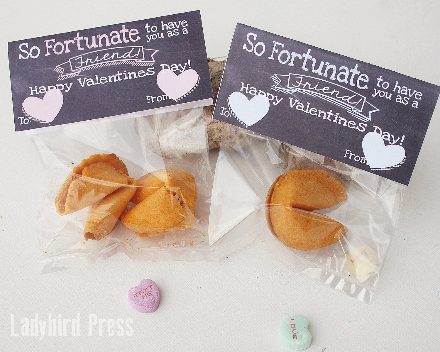 Valentines Day Printable Fortune Cookie Valentine Etsy
