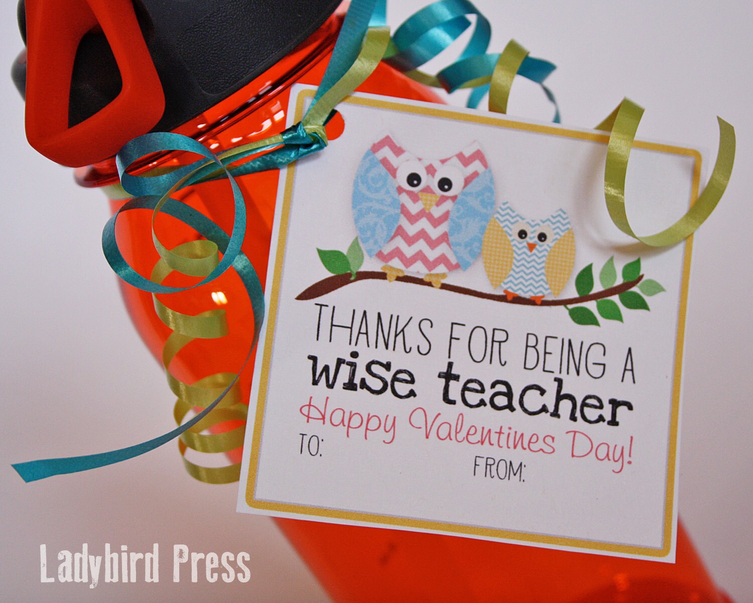 Printable Teacher Valentines Day Card Owl Classroom - Etsy