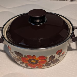 May include: A vintage enamel cooking pot with a dark brown lid and handles. The pot features a floral design in orange, red, and brown. The pot is approximately 8 inches in diameter.