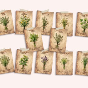 Vintage Herb Card Ephemera Collection Vol. II, Printable Botanical Cards, Junk Journal Supplies, Scrapbooking, 12 Collectible Cards