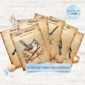 Vintage Bird Ephemera: Printable Journal Cards, Scrapbook Embellishments (Digital Download)