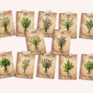 Vintage Herb Card Ephemera Collection Vol. I, Printable Botanical Cards, Junk Journal Supplies, Scrapbooking, 12 Collectible Cards