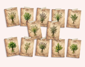 Vintage Herb Card Ephemera, Printable Botanical Cards (Digital Download)
