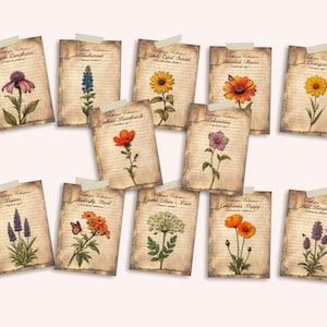 Vintage Wildflower Ephemera Cards, Botanical Junk Journal Printable, Floral Collage Sheets, Scrapbooking, 12 Cards, Instant Download, VOL I