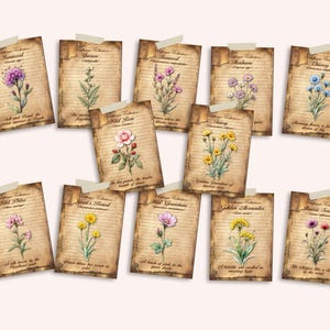 Efemere wilde bloemenkaarten voor ongewenste tijdschriften VOL II, botanische naam en poëzie, vintage kladjes, scrapbooking, collage, mixed media