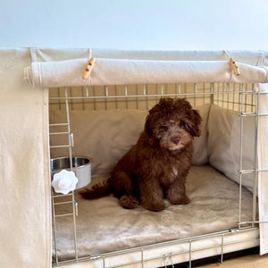 Op de afbeelding: Een kleine, bruine puppy met krullend haar zit in een metalen hondenbench bedekt met een beige stoffen hoes. De bench is voorzien van een zachte, beige pluche mat op de bodem, een roestvrijstalen voerbak en houten knevelsluitingen.