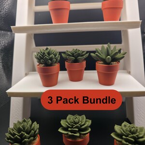 May include: A collection of eight miniature green succulent plants in small orange pots, arranged on a white tiered display stand. A red rectangular label with the text 3 Pack Bundle is centered in the image, and a small logo is in the bottom corner.