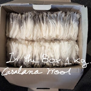 May include: A cardboard box filled with white and grey wool. The box is labelled "In the Box 1 kg. Cashlana wool".