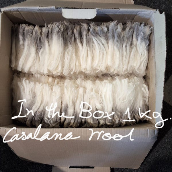White Merino, 1 kg (2.2 lb) of 10-12 cm raw wool staples r handed pick for low lanolin low vegetable matter and about 10-12 cm long staples
