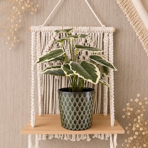 May include: A wall-mounted macrame shelf featuring a light-coloured wooden board suspended by off-white knotted cotton cord. A dark green ceramic pot with a gold geometric honeycomb pattern holds a green plant with white-edged leaves.
