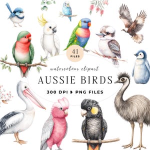 Puede incluir: Una colección de ilustraciones en acuarela que muestran varias aves australianas, incluyendo un pelícano, un emú, un cucaburra, una cacatúa y un galah. El texto dice 41 FILES, watercolour clipart, AUSSIE BIRDS, 300 DPI & PNG FILES.
