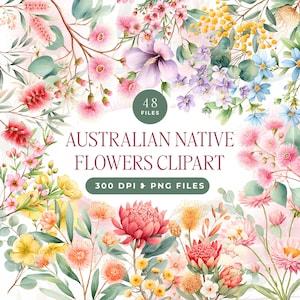 May include: A digital collection of Australian native flowers clipart featuring 48 files in 300 DPI and PNG format. The artwork displays a variety of watercolor botanical illustrations including pink, yellow, and blue blossoms with green foliage.