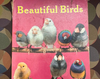 Beautiful Birds Book. Vintage Bird Book. Vintage Children’s Book. Bird Lovers. Kids Books. Parakeets. Swans. Parrot.