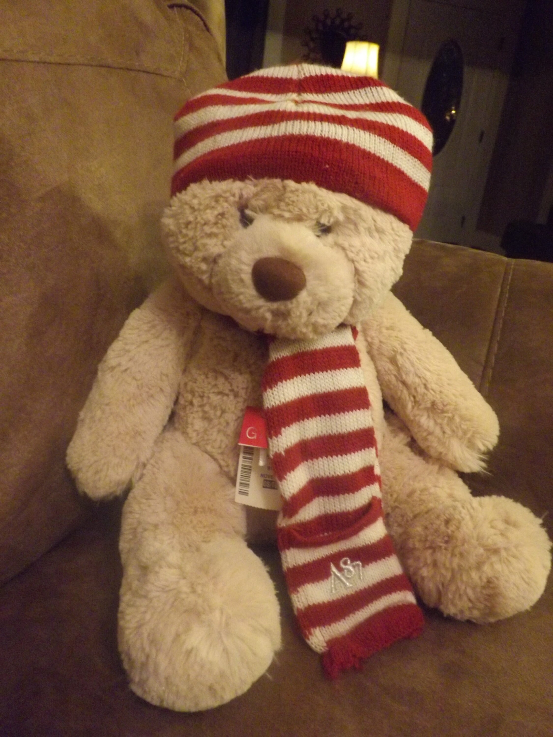 aeropostale teddy bear