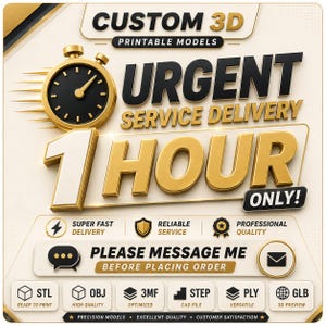 Pode incluir: Um anúncio gráfico de modelos 3D imprimíveis com o texto CUSTOM 3D PRINTABLE MODELS, URGENT SERVICE DELIVERY 1 HOUR ONLY, PLEASE MESSAGE ME BEFORE PLACING ORDER, e ícones para os formatos de arquivo STL, OBJ, 3MF, STEP, PLY e GLB.