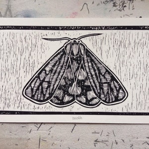 Moth vs.2