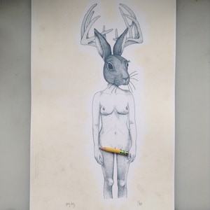 Jackalope