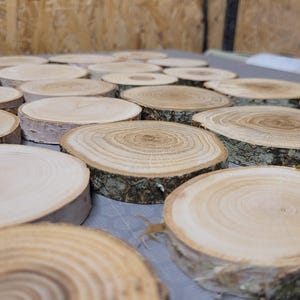 Schijfjes geschuurd berkenhout | Natuurlijke houten rondes van 70-90 mm voor knutselen