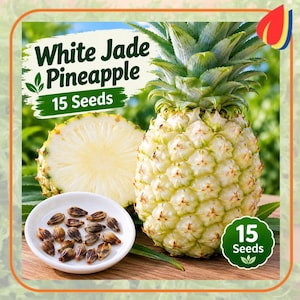 Könnte beinhalten: Eine ganze White Jade Ananas, eine aufgeschnittene Ananashälfte und eine kleine weiße Schale mit 15 dunkelbraunen Samen. Der Text auf dem Bild lautet White Jade Pineapple und 15 Seeds. Die Ananas hat eine grüne Blattkrone und eine hellgelbe Schale.