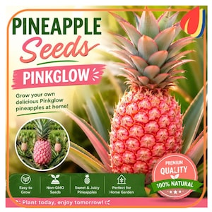 Pode incluir: Um pacote de sementes de abacaxi Pinkglow com um abacaxi rosa grande e folhas verdes. O texto diz PINEAPPLE Seeds PINKGLOW, Grow your own delicious Pinkglow pineapples at home!, e PREMIUM QUALITY 100% NATURAL com ícones de jardinagem.