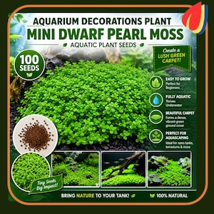 Könnte beinhalten: Aquarium Dekoration Pflanze Mini Zwergperlenmoos Wasserpflanzensamen. Das Bild zeigt 100 Samen, einen dichten grünen Teppich und Text einschließlich "Create a LUSH GREEN CARPET!", "EASY TO GROW", "FULLY AQUATIC" und "BRING NATURE TO YOUR TANK!"