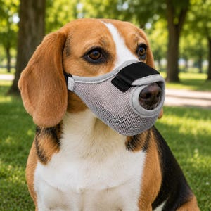 May include: A beagle dog wearing a grey mesh muzzle with a black strap across the top of the snout. The muzzle features a breathable fabric construction with light grey trim and a secure fit around the nose, allowing the dog's dark nose to be visible.