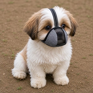 May include: A small dog with white and brown fur wearing a black and white houndstooth patterned mesh muzzle. The muzzle features a black strap that runs over the bridge of the nose and includes reflective piping along the edges for visibility.